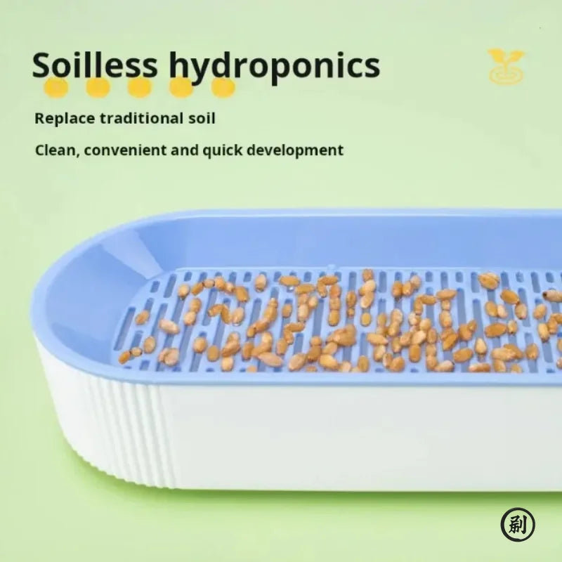 Hydroponic Cat Grass Grow Kit