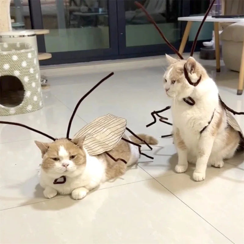 Cockroach Cat Costume with Wings