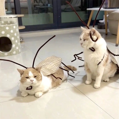 Cockroach Cat Costume with Wings