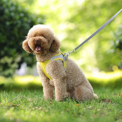 Adjustable Puppy and Cat Harness Set