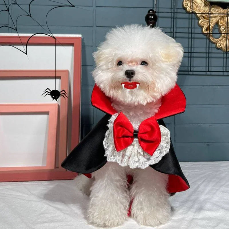 Halloween Vampire Cape for Dogs