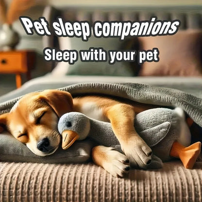 Duck Plush Companion Toy