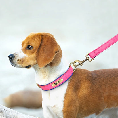 Engraved Leather Dog Collar and Leash Set