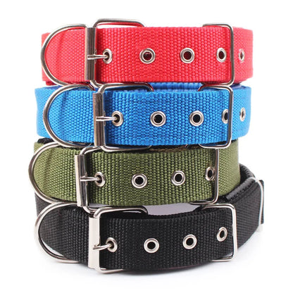 All-Season Nylon Dog Collar