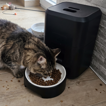 Automatic Pet Feeder