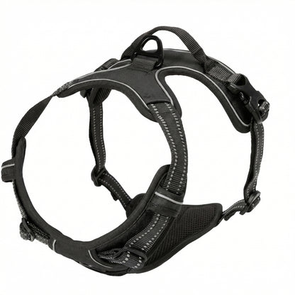 Premium Leather Walking Set