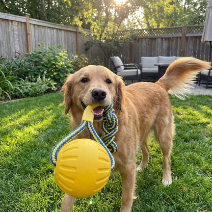 4-Pack EVA Dog Toy Set