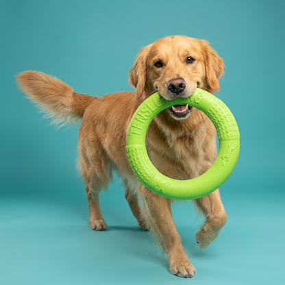 Rubber Training Ring
