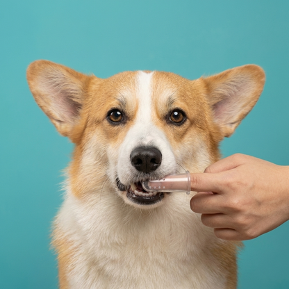 Finger Toothbrush