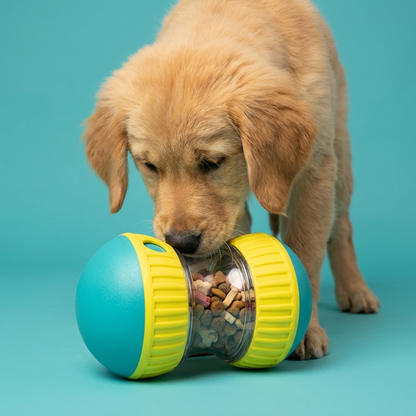 Treat-Dispensing Tumbler Toy