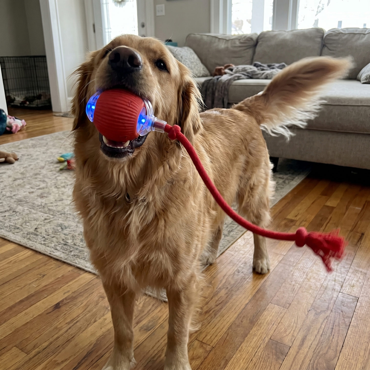 Smart Motion Interactive Ball