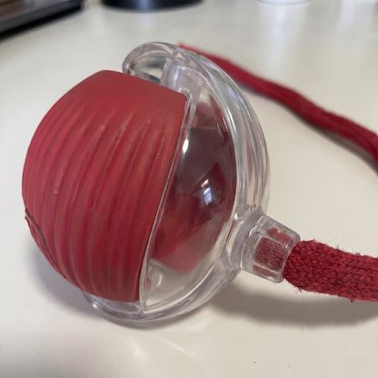 Smart Motion Interactive Ball