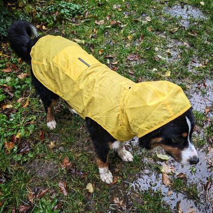 Reflective Dog Rain Coat