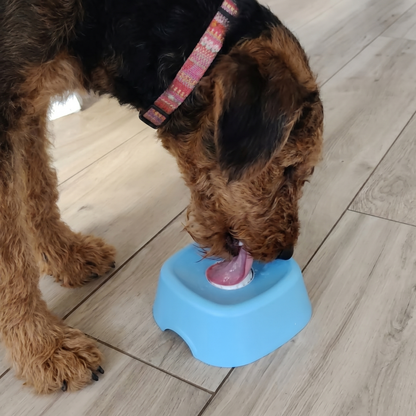 Slow Feeder Lick Bowl