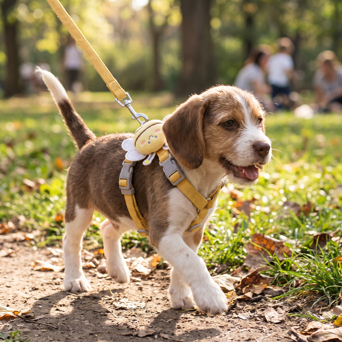 Bee Harness Leash Set lifestyle