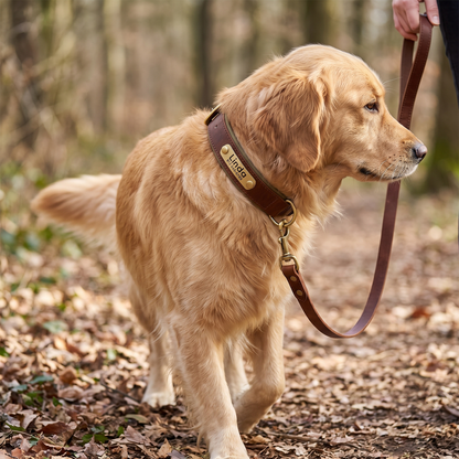 Leather Collar Leash Set lifestyle