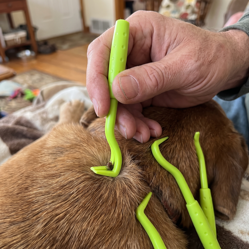 Tick and Flea Remover lifestyle