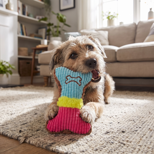 Plush Squeaky Bone lifestyle