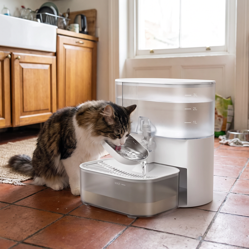 Timed Cat Water Fountain lifestyle