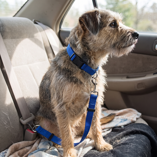 2-in-1 Car Safety Belt lifestyle