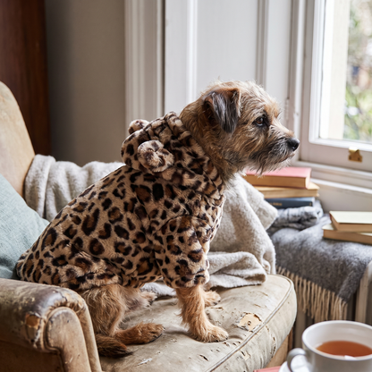 Leopard Hooded Jumper lifestyle