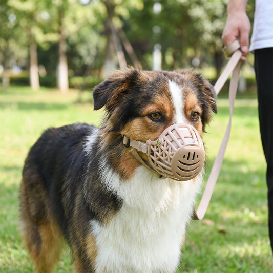 Adjustable Breathable Dog Muzzle