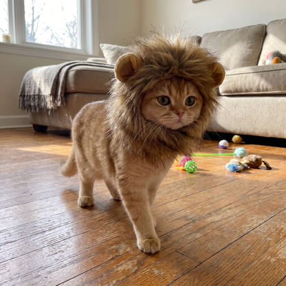 Lion mane pet hat lifestyle