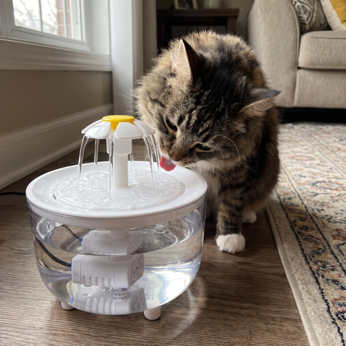 USB Cat Water Fountain 1.2L