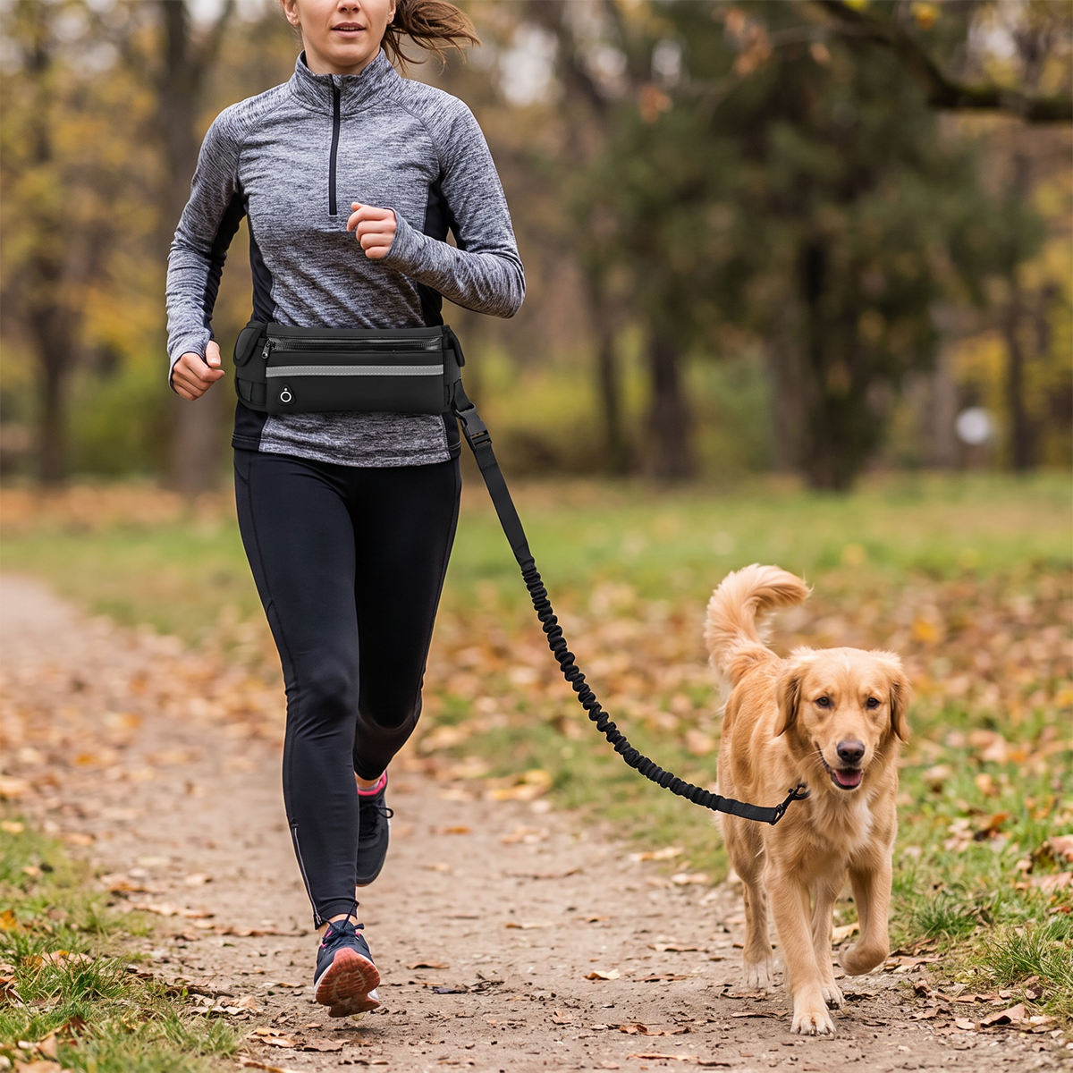 Hands-free reflective dog leash lifestyle