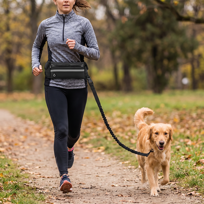 Hands-free reflective dog leash lifestyle