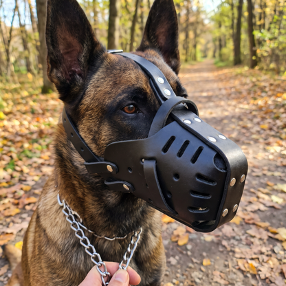 Leather Basket Dog Muzzle