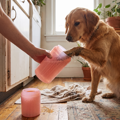 Pet paw washing cup lifestyle