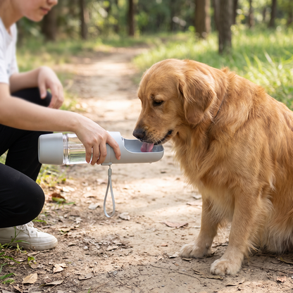 Travel dog water bottle lifestyle